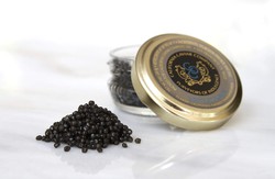 Classic White Sturgeon Caviar 1